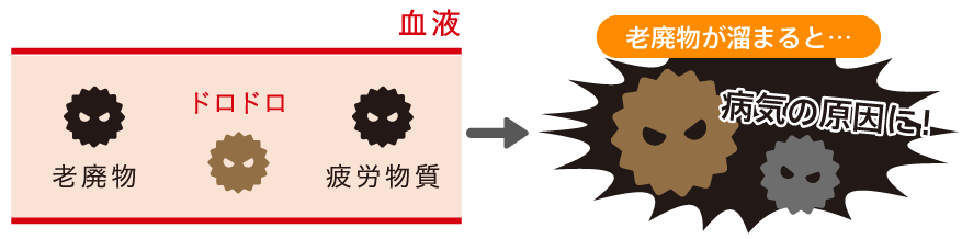 老廃物が固まると病気の原因に