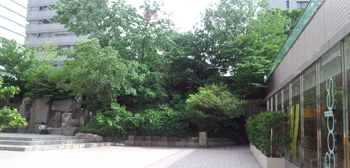 chiba_20120511_01.jpg