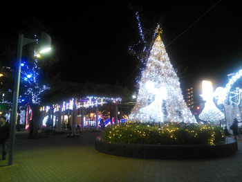 fujieda_20121126_01.jpg