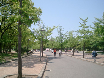 nanba_20120509_02.jpg