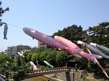 nishinomiya_20120509_01.jpg