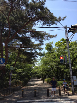 nishinomiya_20120522_02.jpg