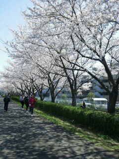 yokohama_20120417_01.jpg