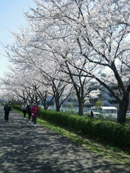 yokohama_20120502_02.jpg