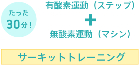 たった30分のサーキットトレーニング