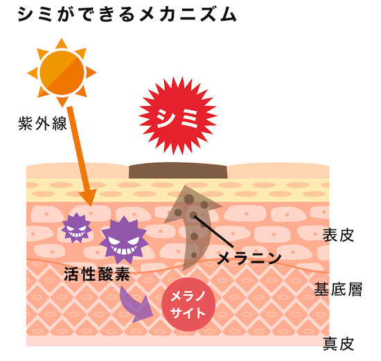 シミが発生するメカニズム