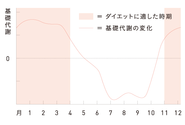 月別に見る基礎代謝の変化