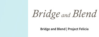 Bridge and Blend | Project Felicia